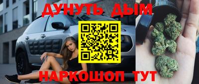 дживик Кингисепп