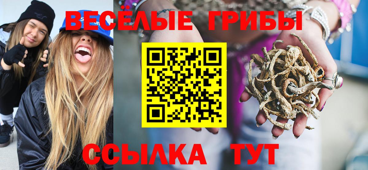 наркотики  Псилоцибиновые грибы ЛСД  Краснодар  Вход с VPN  Псилоцибиновые грибы Psilocybe 
